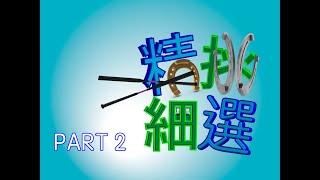 精選賽馬頻道 精挑細選 1月1日 田草C PART 2 新年快樂