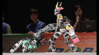 二足歩行ロボット格闘技大会