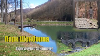 Одно из чудес Закарпатья – Парк Шенборна (Воеводино)