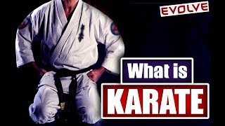 What Is Karate | Brief History Of Karate (HINDI AUDIO)