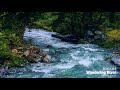 josiah1 wandering river z8phyr remix