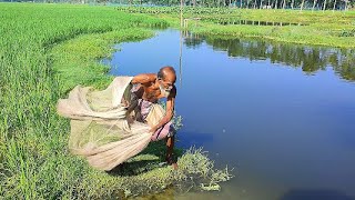 Amazing Village Net Fishing - Old Grandpa Catch Fish By Net - Traditional Net Fishing New Video