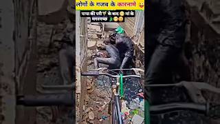 लोगों के कुछ गजब कारनामे 😂 इन नमूनों को देख हंसी नहीं रुकेगी 😂 funny video #shorts #viral #funny