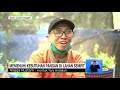 berkebun di lahan sempit solusi penuhi kebutuhan pangan