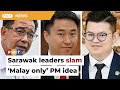 Sarawak leaders pan Wan Fayhsal’s ‘Malay only’ PM idea