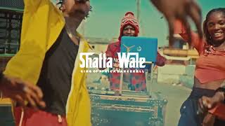 Shatta Wale - Ballon (Official Music Video) Dance Video