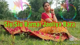 Siu Siu Barnai Jaoliya Bara //Please 🙏🙏🙏 Subscribe \u0026 Share//Bodo Song// Hitesh Narzary Official.