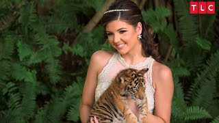 Baby Tigers Are Ready For Their Close-Ups | Sweet 15: Quinceañera