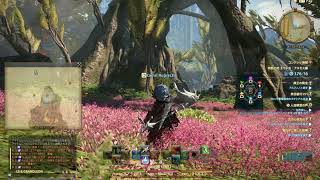 【FF14】 禁断の地エウレカのお散歩（プレイ動画）