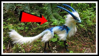 दुनिया के 07 सबसे सुन्दर पक्षी (जिसे देखने के लिए नसीब चाहिए )Unique Animals You Won’t Believe Exist