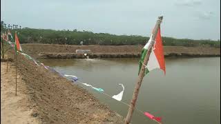 Nagapattinam district Vedaranyam Block Therkku kadu vettikulam near kulam