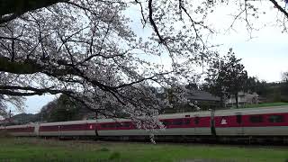 1618・やくも７号・伯耆溝口駅・2024 4 3