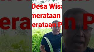 Desa Wisata jamin Pemerataan Ekonomi dan Penduduk