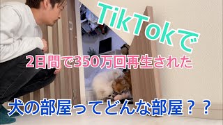 階段下に犬の部屋を作ってみたら2日で350万回再生!!!