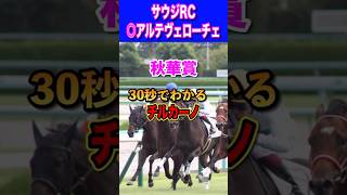 【秋華賞2024】30秒でわかるチルカーノ