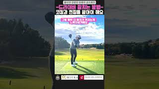 [정쌤의 골프레쓴]드라이버 테이크어웨이 고치기#golf #골프 #golfcourse #golflesson #pgaclassa프로