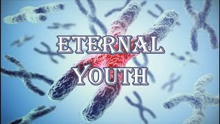 ❋ Stay Young Forever! ~ Telomere Regeneration + Frequency-free Version ~ Gentle Rain Sounds