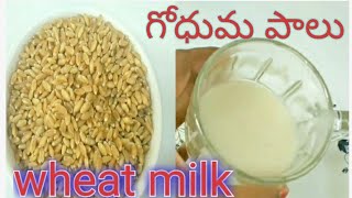 Wheat milk preparation at home గోధుమ పాలు తయారీ విధానం