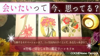 【率直なホンネ】あの人は、会いたいと思ってる？【辛口✴︎覚悟】本格リーディング、忖度一切なし