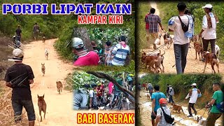 K4NDIAK BASERAK-PORBI LIPAT KAIN