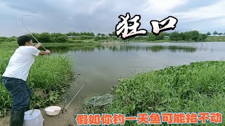 惠州一条野河太像水库，来口就是黑漂，如果你钓一天鱼可能抬不动