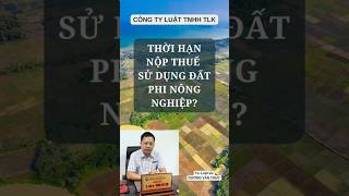 [TVPL - ĐẤT ĐAI] Thời hạn nộp thuế sử dụng đất phi nông nghiệp? #datdai #thuế #thoigian