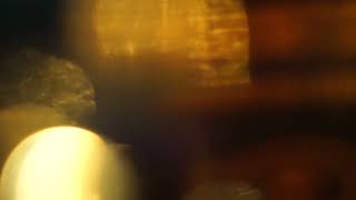 Golden Bokeh Overlay Light Leaks Lens Flare Video Overlay Effects