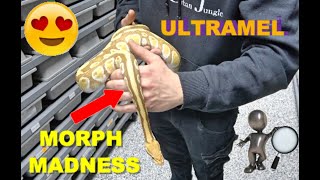 Ultramel Morph madness! Finally it Happened!