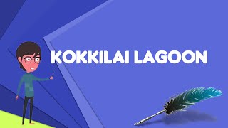 What is Kokkilai Lagoon? Explain Kokkilai Lagoon, Define Kokkilai Lagoon, Meaning of Kokkilai Lagoon