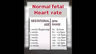 Normal fetal heart rate .#baby #pregnany #pregnancyjourney