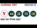 govisetha 3987 2025.02.12 today nlb lottery result අද ගොවිසෙත දිනුම් ප්‍රතිඵල lotherai dinum anka