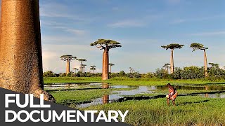 Amazing Quest: Madagascar, Malawi and More | Somewhere on Earth: Best Of Africa | Free Documentary