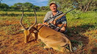Impala Hunt, One For The Pot, Limpopo South Africa - Tenderloin Medallions!!
