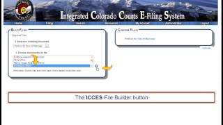 ICCES Domestic Video