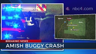 Four injured in Amish buggy crash
