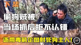 蟊贼偷狗不成用弩射人，却被狠人开车撞死！村主任当场拍手叫好！