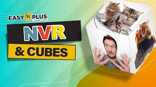 11 Plus Reasoning | NVR \u0026 Cubes | Easy 11 Plus LIVE 108