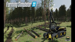 FS22🌲Ponsse Scorpion King H7🌲Map:Nordgrad🌲Logging🌲Excellent forest on small slopes