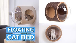 Floating Bubble Window Cat Bed