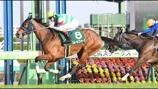 第４１回　ローレル競馬場賞　中山牝馬ステークス （ＧⅢ）　スルーセブンシーズ　牝５　54　C.ルメール　2023.3.11　　出走馬：ストーリア、サトノセシル、アートハウス、クリノプレミアム他