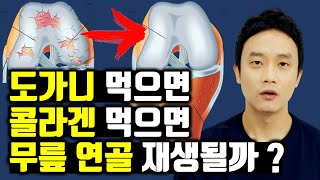 도가니탕 을 먹으면 망가진 연골이 좋아질까?