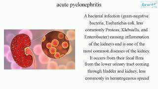 acute pyelonephritis