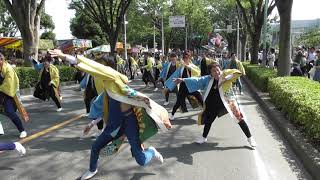 2019･08･04 ﾘｿﾞﾝなるこ会飛鳥彩夏祭二日目：南通り①