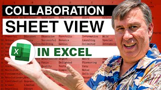 Excel - How To Effectively Use Sheet View While Collaborating In Excel - Episode 2461