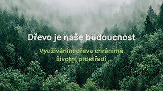 Dřevo je naše budoucnost