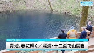 青池、春に輝く／深浦・十二湖で山開き