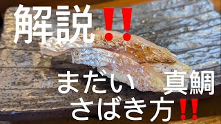 解説‼️まだい　真鯛　さばき方‼️ マダイを捌いてみたい方。さばくのが上手くなりたい方は必見です