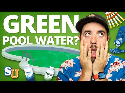 How to Get Rid of Swimming Pool Algae How to Get Rid of Swimming Pool Algae