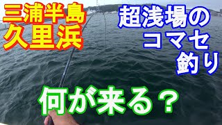 ♯252【久里浜ボート釣り】カレイのポイントでコマセ釣りをしたら？