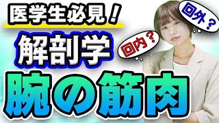 【解剖学】とっても覚えにくい解剖学の「腕の筋肉」について